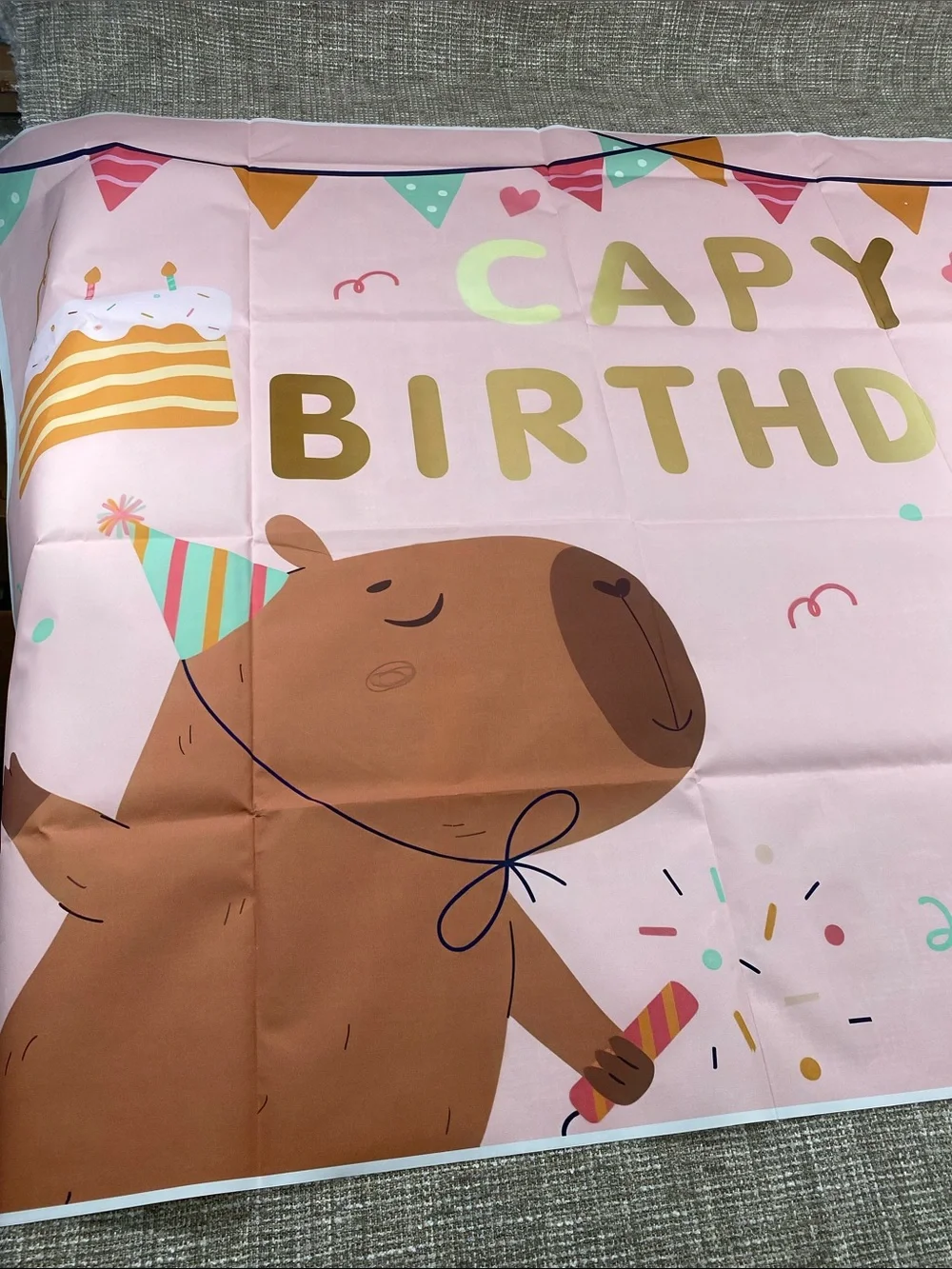 Happy Birthday Pink Party Backdrop Banner Capybara birthday party ballons
